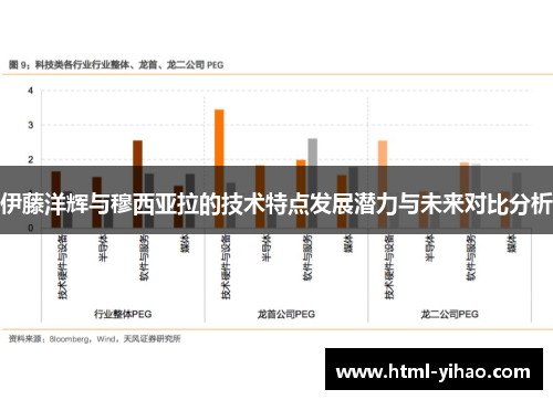 伊藤洋辉与穆西亚拉的技术特点发展潜力与未来对比分析